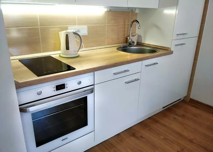 Smilteles Apartamentai Lt Паланга